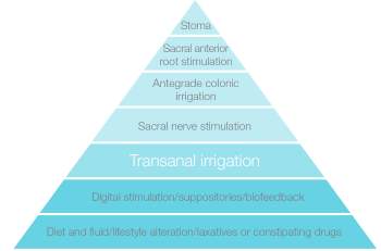 Pyramide de l’irrigation transanale